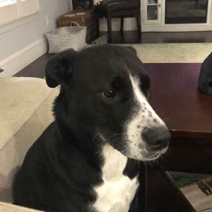 Meet your Posher, Katherine